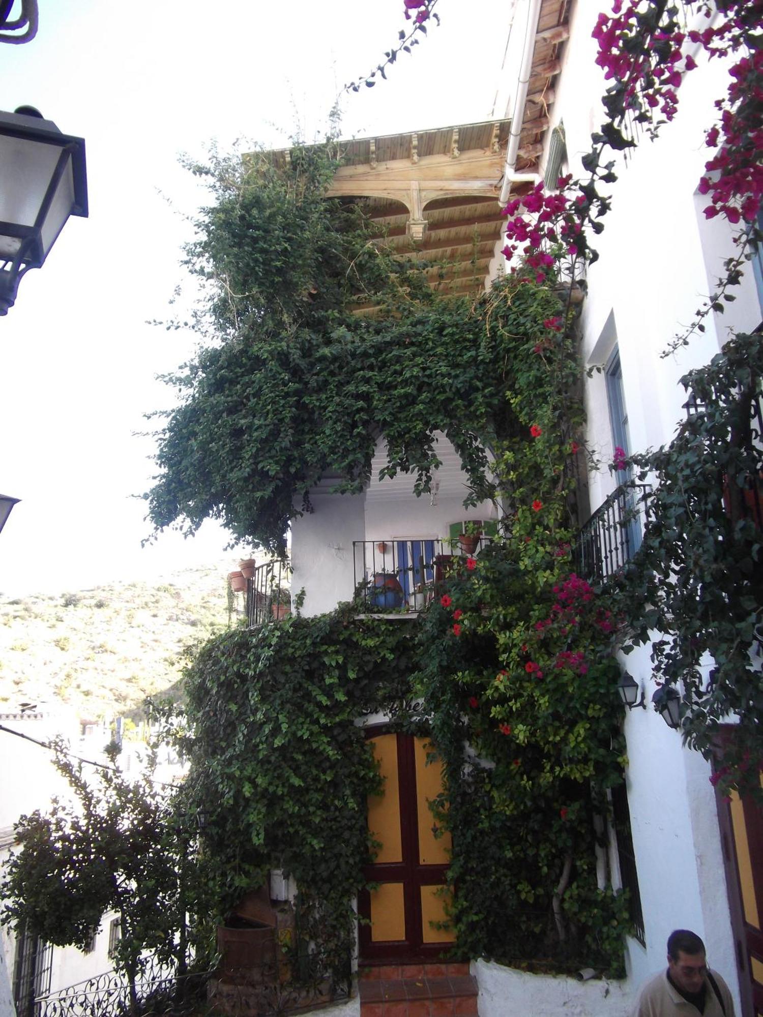 Maison d'hôtes El Torreon